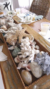 Centerpiece of Seashells