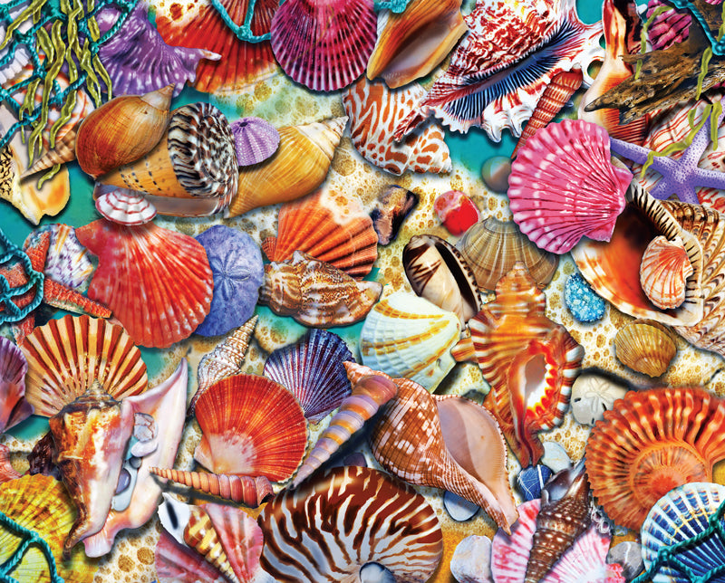 Coastal Shells Puzzle