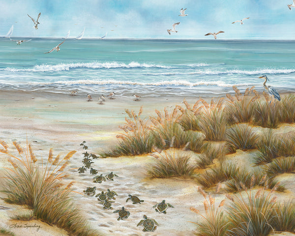 Ocean Bound Puzzle