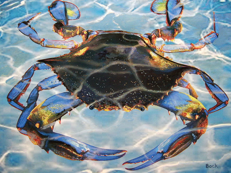 Blue Crab Baby Puzzle