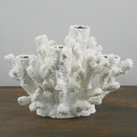 Small White Coral Cluster Candelabra  - Set of 2
