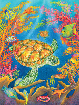 Tutle Reef Puzzle