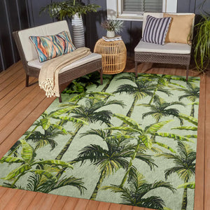 Tropics Aloe Rug