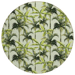 Tropics Aloe Rug
