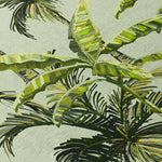 Tropics Aloe Rug