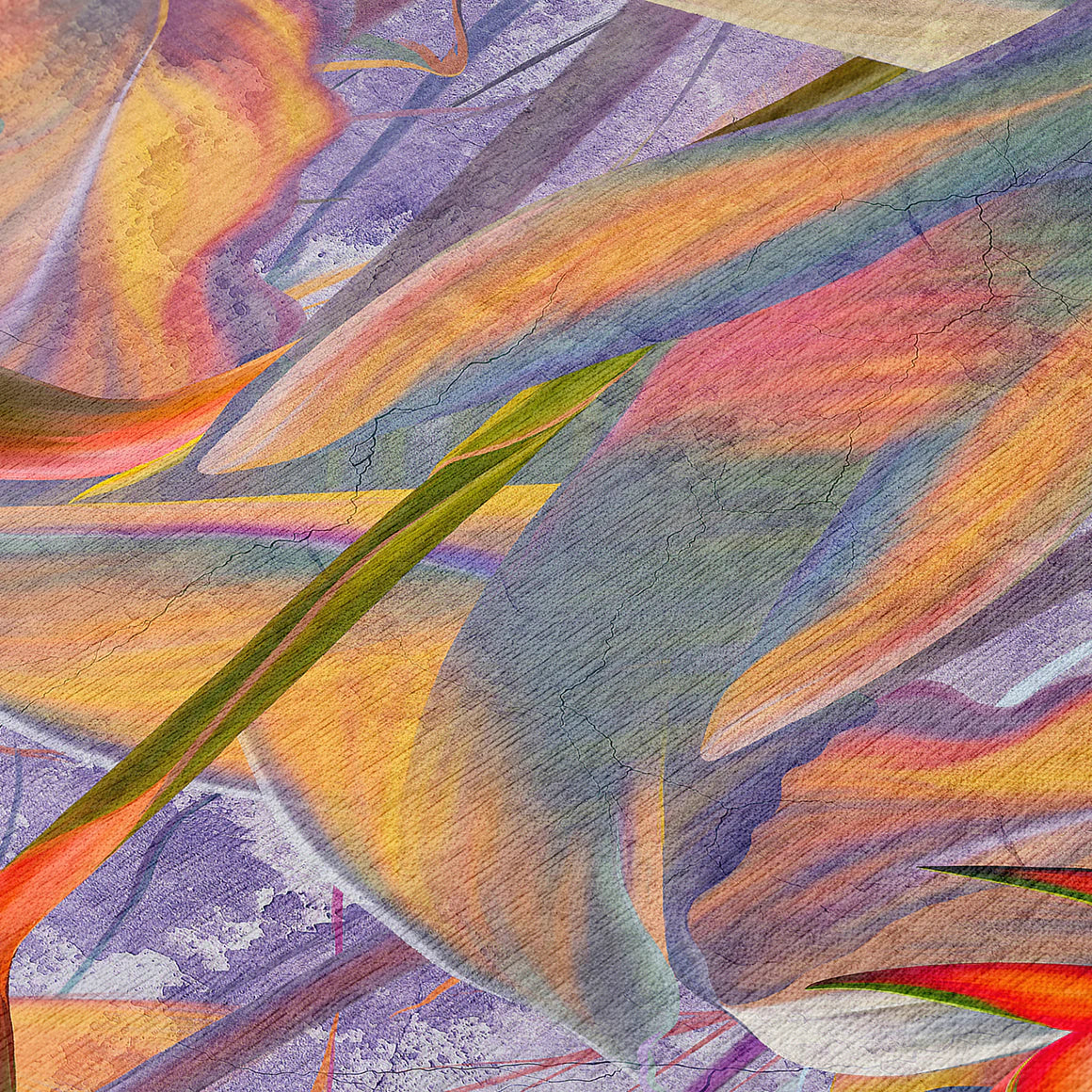 Tropics Passion Rug