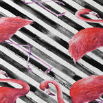 Tropics Flamingo Black Rug