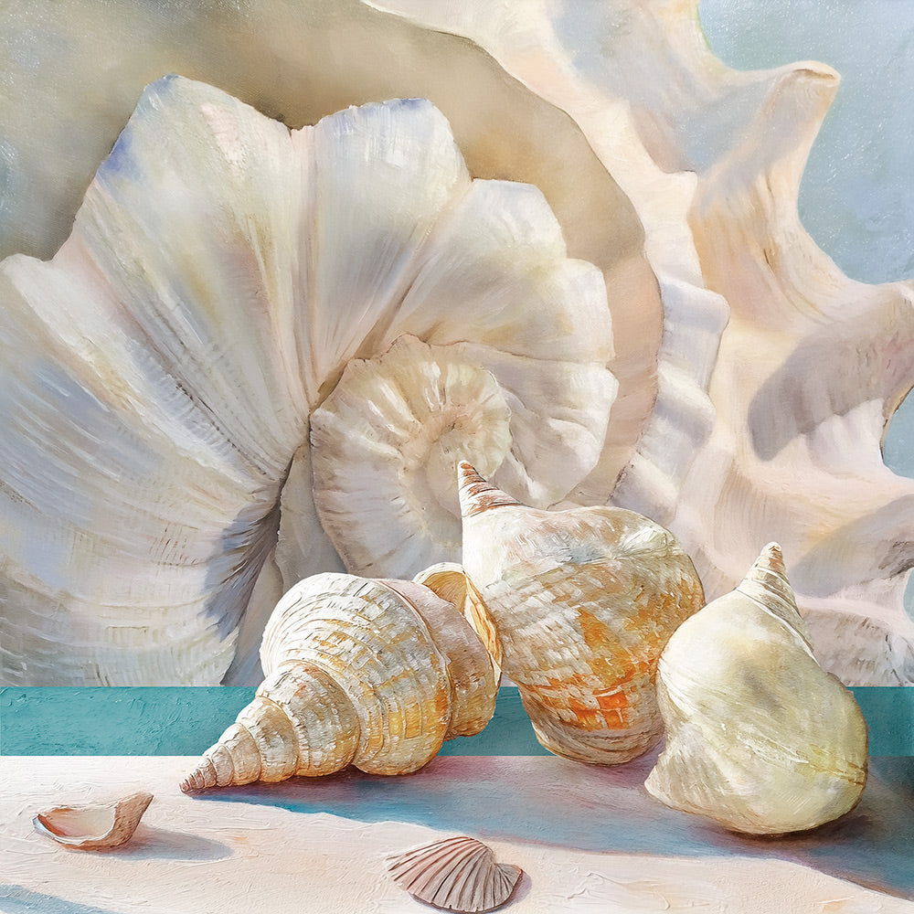 Collection 1 Giclee Canvas Print - Artist Steve Hunziker