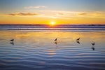 Sunset Sand Ripples Canvas Art Print - Artist Barbara Markoff