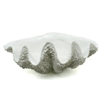 XL Gigas Clam Shell with Barnacles Decorative Bowl