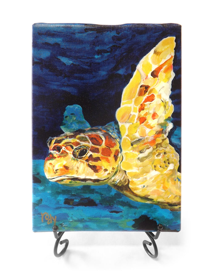 Lisa's Turtle Mini Giclee by Kim Rody