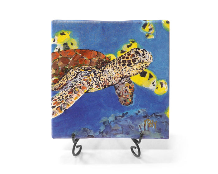 Turtle Study Mini Giclee by Kim Rody