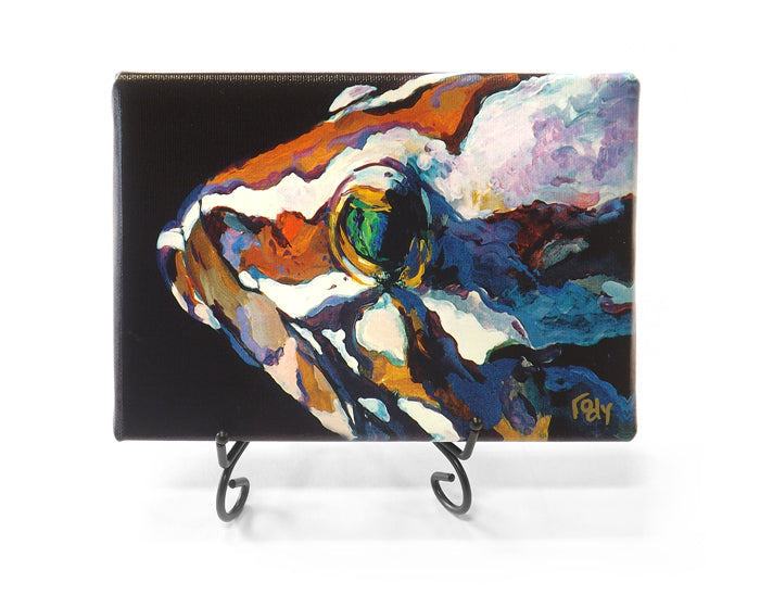 Nassau Grouper Mini Giclee by Kim Rody