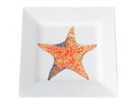 A Star is Born Dinnerware by Kim Rody