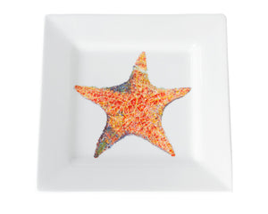 A Star is Born Dinnerware by Kim Rody