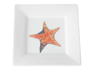 A Star is Born Dinnerware by Kim Rody