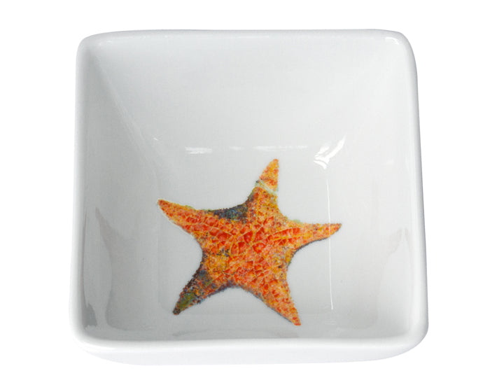 A Star is Born Dinnerware by Kim Rody