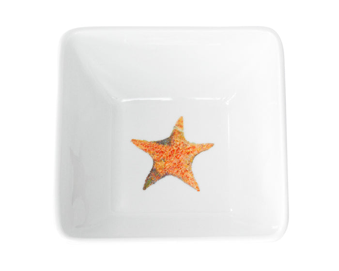 A Star is Born Dinnerware by Kim Rody