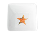 A Star is Born Dinnerware by Kim Rody