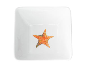 A Star is Born Dinnerware by Kim Rody