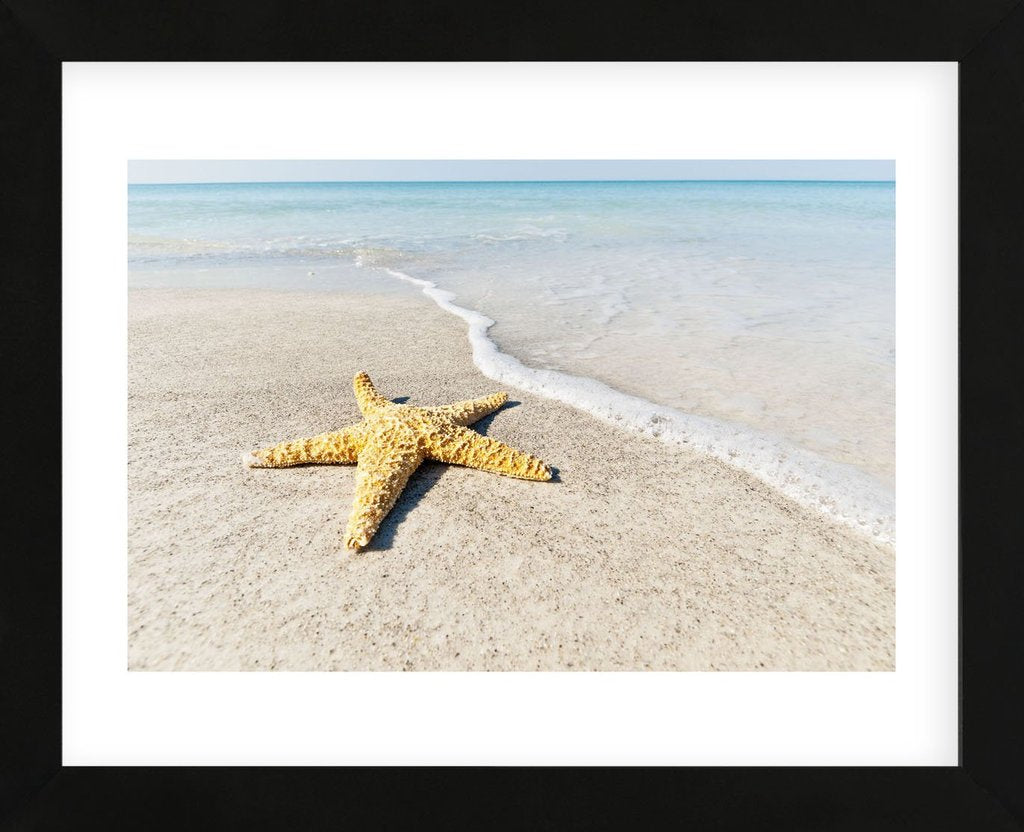 Star Fish Line of Surf Framed Art Print -  Artist Mary Lou Johnson