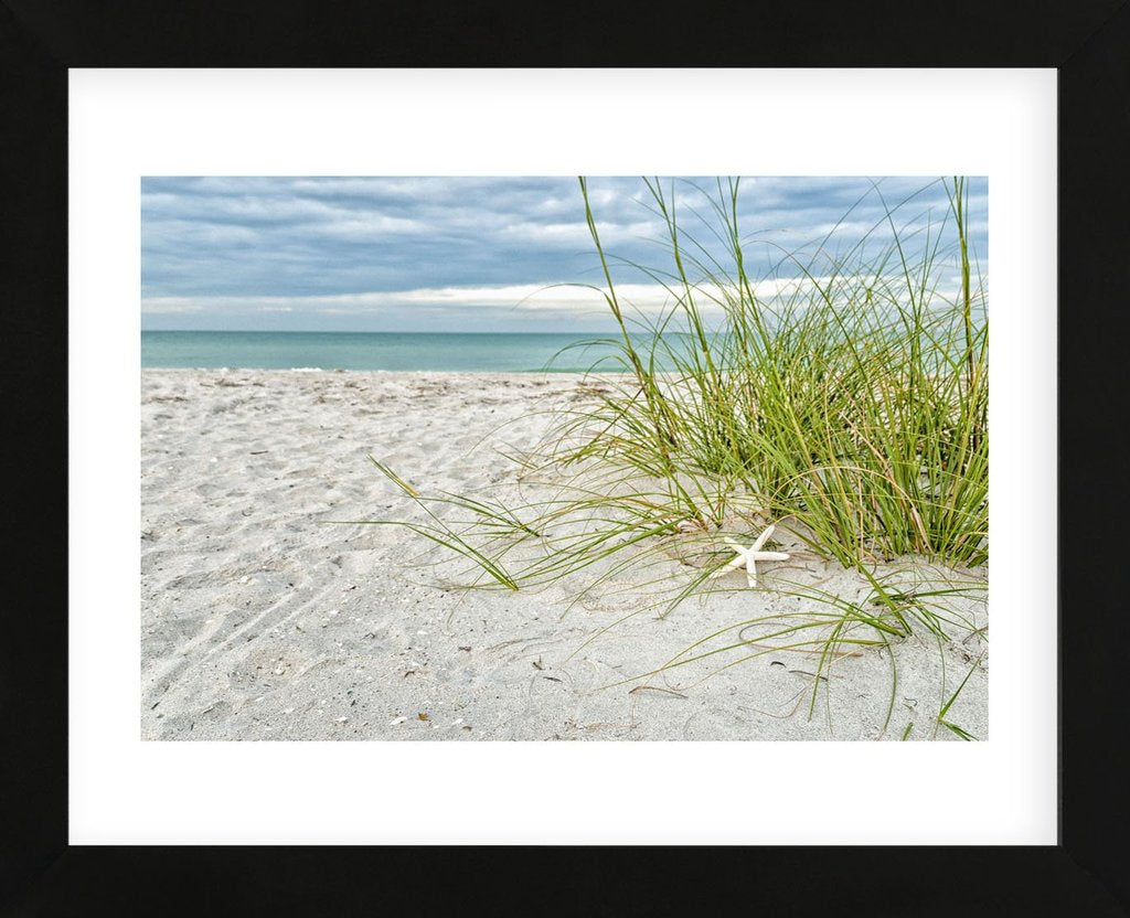 Star Fish and Sea Oats Framed Art Print -  Artist Mary Lou Johnson