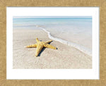 Star Fish Line of Surf Framed Art Print -  Artist Mary Lou Johnson