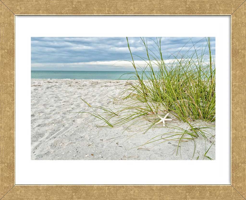 Star Fish and Sea Oats Framed Art Print -  Artist Mary Lou Johnson