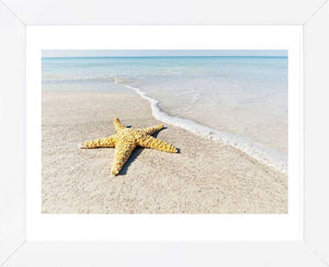 Star Fish Line of Surf Framed Art Print -  Artist Mary Lou Johnson