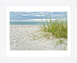 Star Fish and Sea Oats Framed Art Print -  Artist Mary Lou Johnson