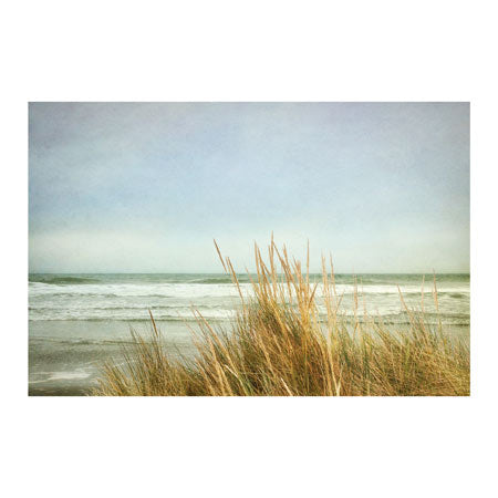 Sea Grasses 2 Canvas Art Print - Artist  Dianne Poinski